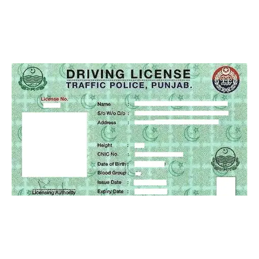 DLIMS Punjab