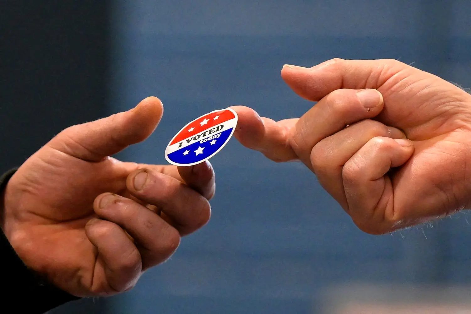8300 Voter Verification